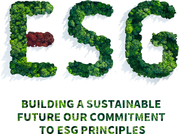esg in sustainability