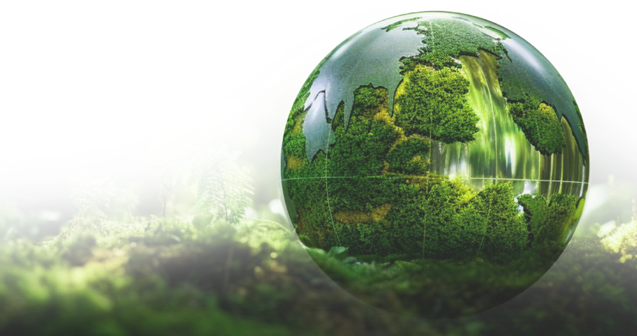 esg in sustainability